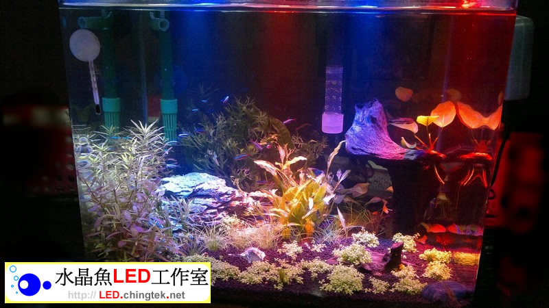 1.2呎(39公分) 可切換式 LED水族燈:　1.2呎 水草缸